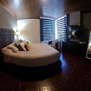  Apartamento Alquiler Zona Viva